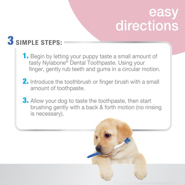 Nylabone Advanced Oral Care Puppy Dental Kit Supply