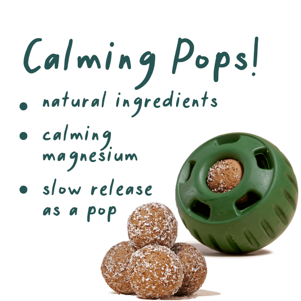 Woof Calming Vitamin Pops Dog Treats Cheap