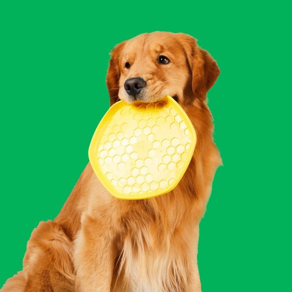 Project Hive Pet Company Hive Disc + Lick Mat Dog Toy Supply