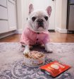 Stella & Chewy s Stella’s Shredrs Cage Free Chicken Recipe in Broth Online Hot Sale