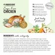 The Honest Kitchen Grain Free Chicken Clusters For Small Breeds Dry Dog Food Online now