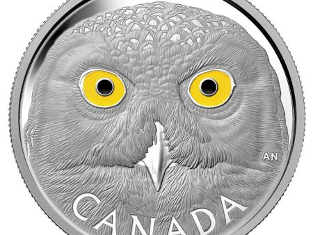 RDC 2014 Canada $250 In The Eyes Of The Snowy Owl Silver Kilo (No Tax) scuffed capsule Discount