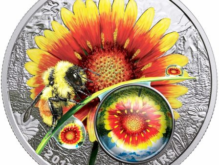 RDC 2017 Canada $20 Mother Nature s Magnification - Beauty Under The Sun (lightly toned) Discount