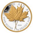 RDC 2013 Canada $250 Maple Leaf Forever Kilo with Gold Plating (No Tax) impaired Hot on Sale