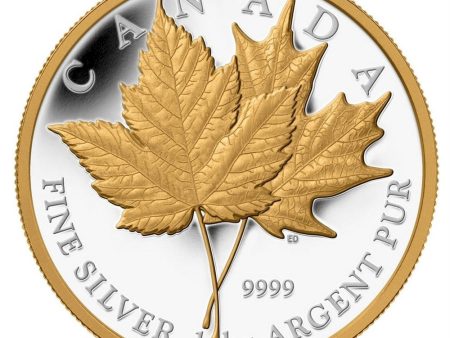 RDC 2013 Canada $250 Maple Leaf Forever Kilo with Gold Plating (No Tax) impaired Hot on Sale