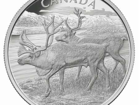 RDC 2013 Canada $250 The Caribou Fine Silver Kilo Coin (No Tax) Impaired on Sale