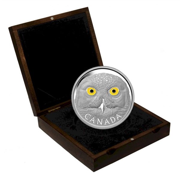 RDC 2014 Canada $250 In The Eyes Of The Snowy Owl Silver Kilo (No Tax) scuffed capsule Discount