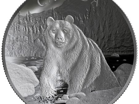 RDC 2019 Canada $100 Double Concave Nature s Grandeur - Brown Bear (No Tax) dented sleeve Hot on Sale