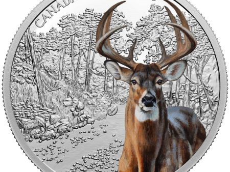 RDC 2021 Canada $30 Imposing Icons - White-Tailed Deer Fine Silver (No Tax)  Issues on Sale