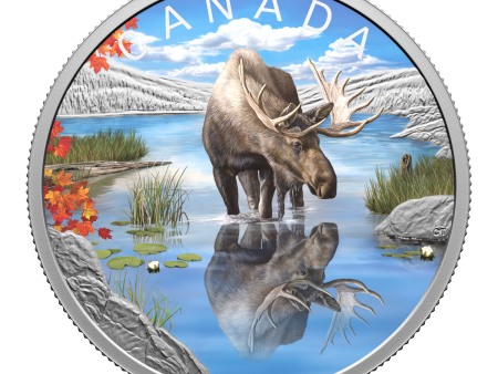 2024 Canada $20 Wildlife Reflections: Moose Fine Silver (No Tax) Supply