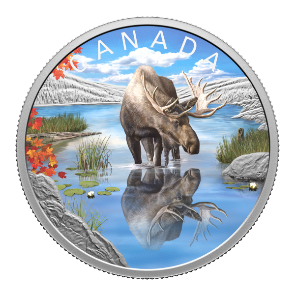 2024 Canada $20 Wildlife Reflections: Moose Fine Silver (No Tax) Supply