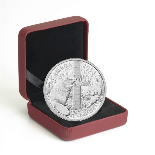 RDC 2013 Canada $50 The Beaver 5oz. Fine Silver Coin (No Tax) Impaired Supply