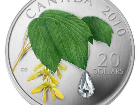 RDC 2010 Canada $20 Maple Leaf Crystal Raindrop Fine Silver (impaired) on Sale