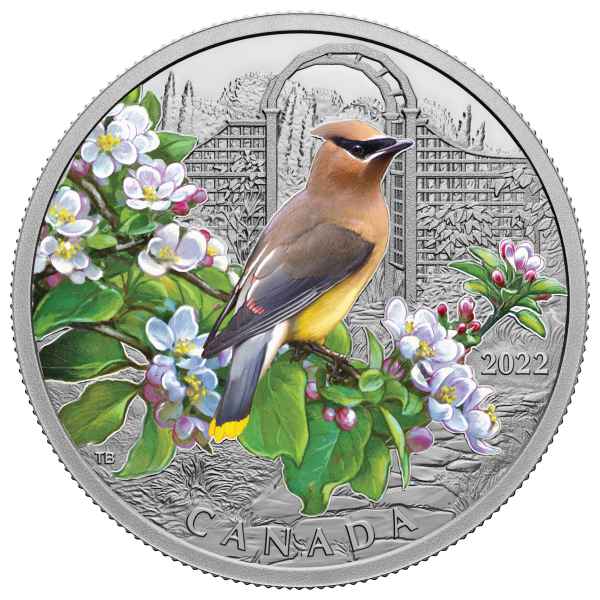 RDC 2022 Canada $20 Colourful Birds: Cedar Waxwing Fine Silver (No Tax) impaired Fashion