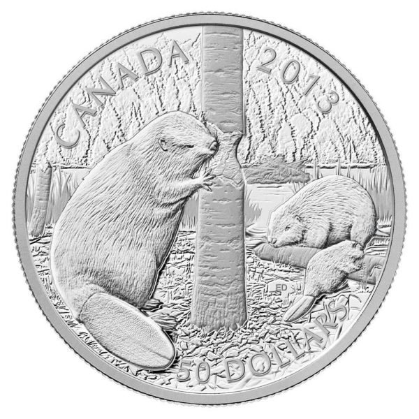 RDC 2013 Canada $50 The Beaver 5oz. Fine Silver Coin (No Tax) Impaired Supply