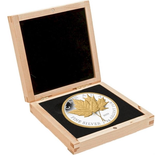 RDC 2013 Canada $250 Maple Leaf Forever Kilo with Gold Plating (No Tax) impaired Hot on Sale