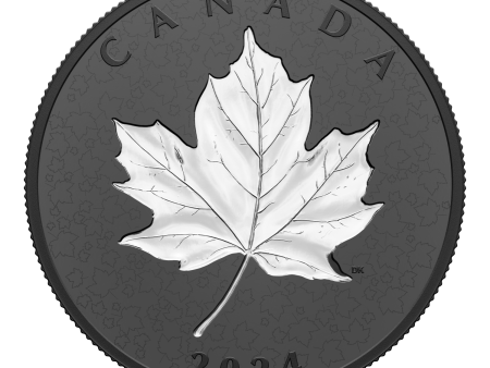 RDC 2024 Canada $50 Maple Leaves in Motion Fine Silver (No Tax) scuffed capsule For Cheap