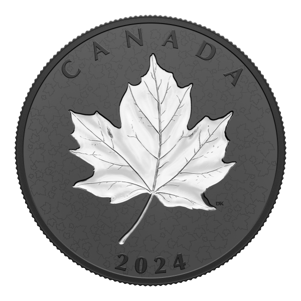 RDC 2024 Canada $50 Maple Leaves in Motion Fine Silver (No Tax) scuffed capsule For Cheap