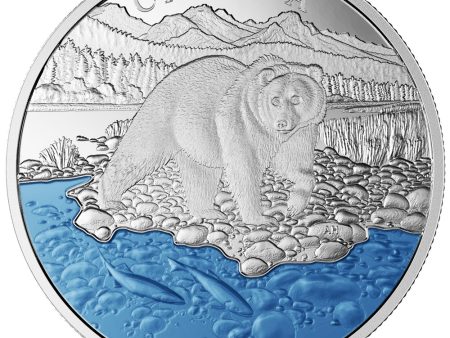 RDC 2017 $20 Iconic Canada - The Grizzly Bear Fine Silver (No Tax) impaired Online Hot Sale