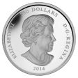 RDC 2014 Canada $250 Year of the Horse Fine Silver Kilo Coin (No Tax) scuffed capsule Discount