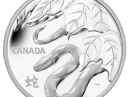 RDC 2013 Canada $250 Year of the Snake Kilo Fine Silver (No Tax) scuffed capsule For Sale