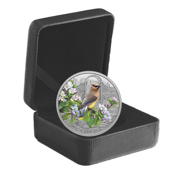 RDC 2022 Canada $20 Colourful Birds: Cedar Waxwing Fine Silver (No Tax) impaired Fashion