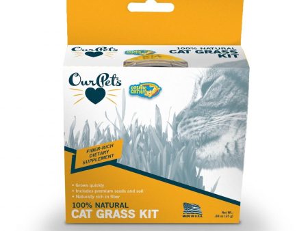 OurPets Kitty Cat Grass For Sale